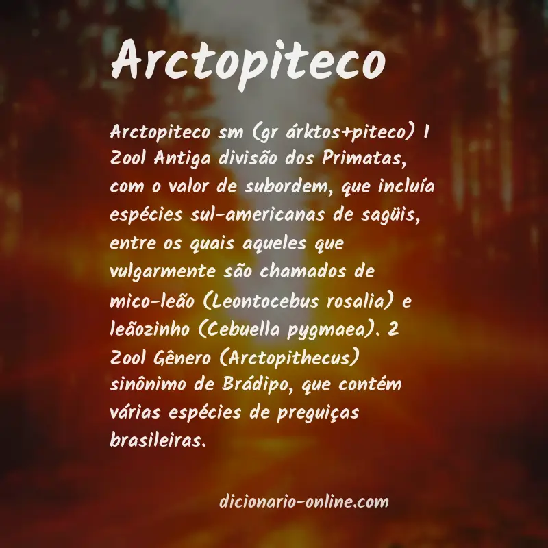 Significado de arctopiteco