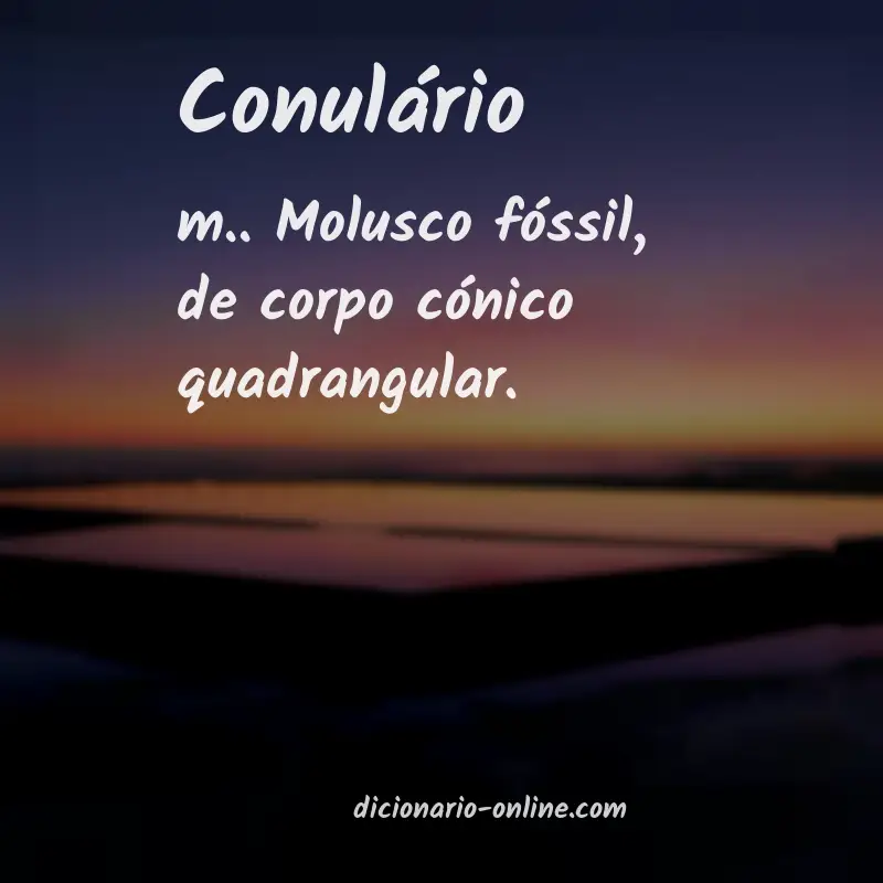 Significado de conulário