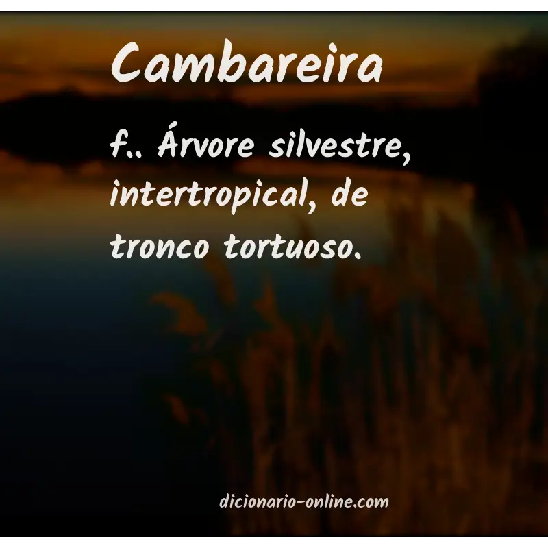 Significado de cambareira