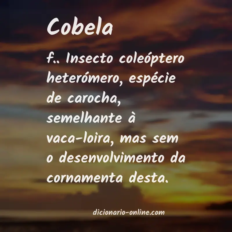 Significado de cobela