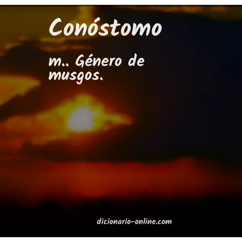 Significado de conóstomo