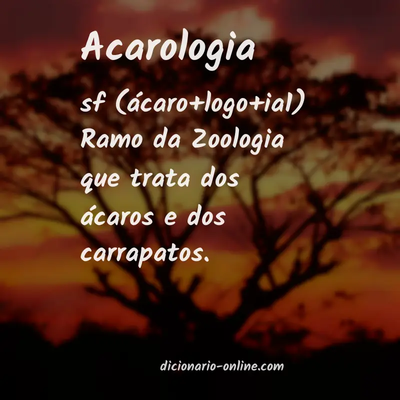 Significado de acarologia