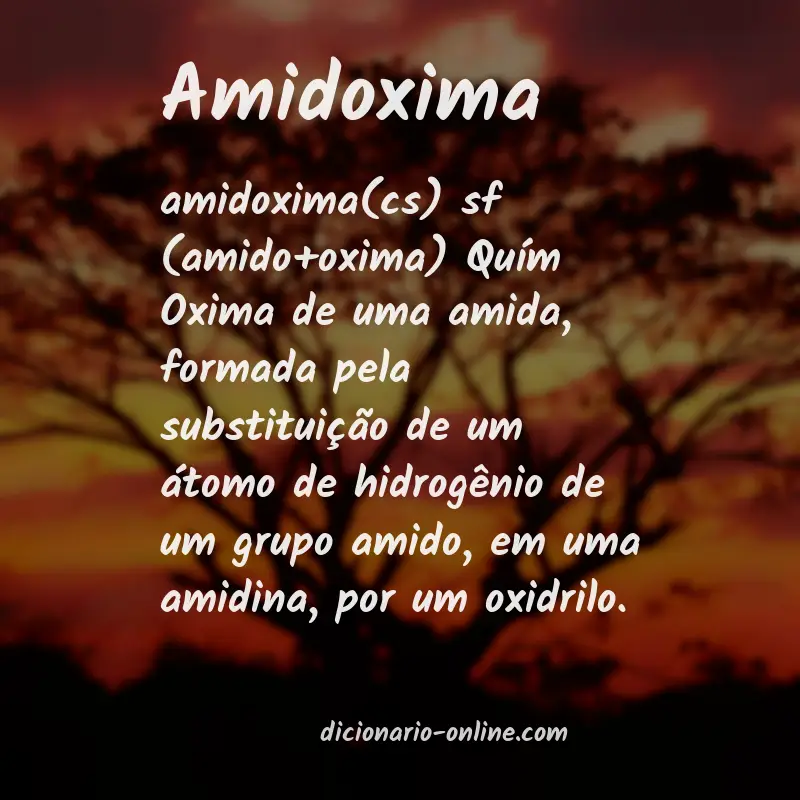 Significado de amidoxima