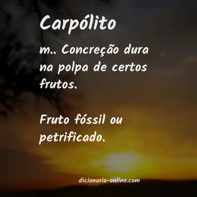 Significado de carpólito