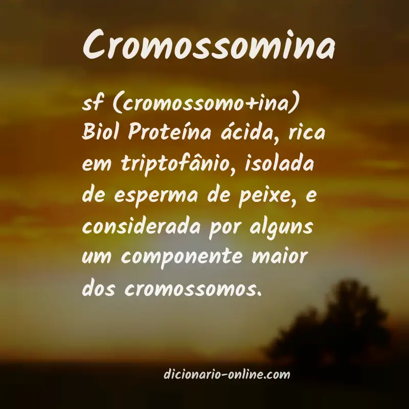 Significado de cromossomina