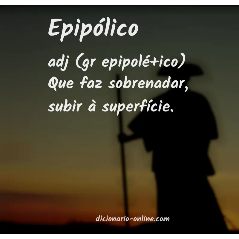 Significado de epipólico
