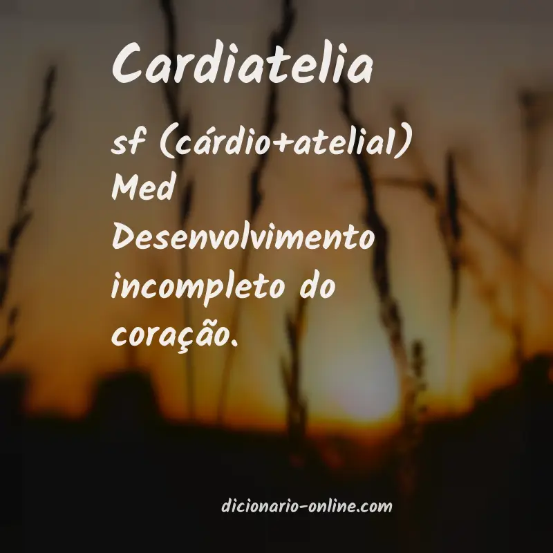Significado de cardiatelia