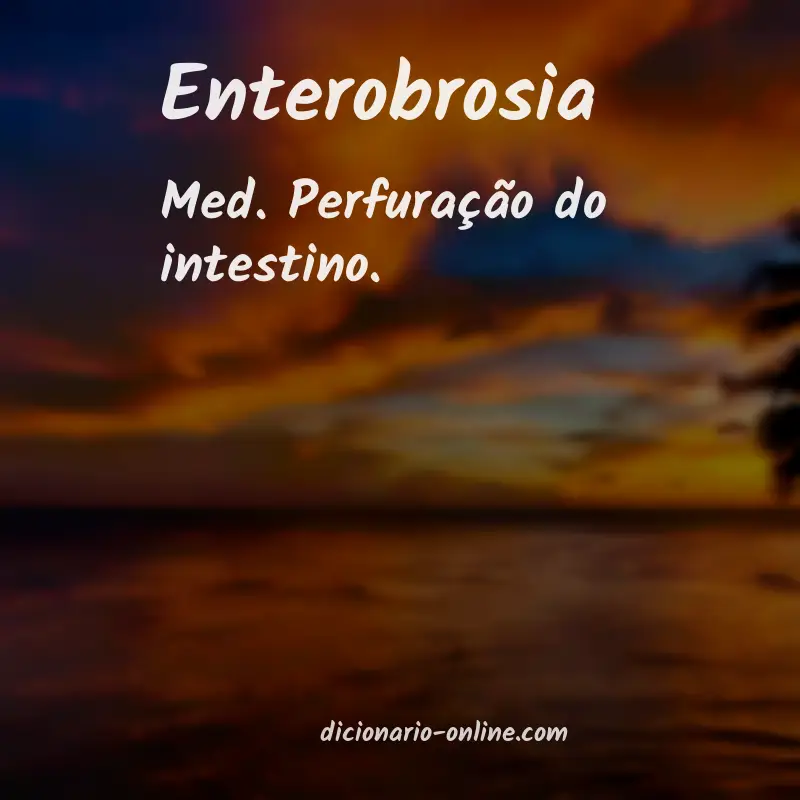 Significado de enterobrosia