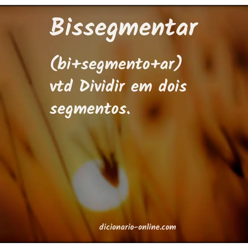Significado de bissegmentar