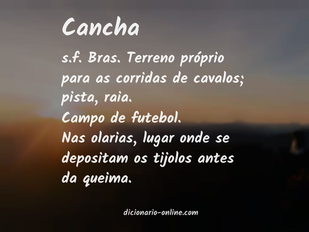 Significado de cancha