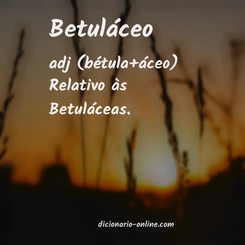 Significado de betuláceo