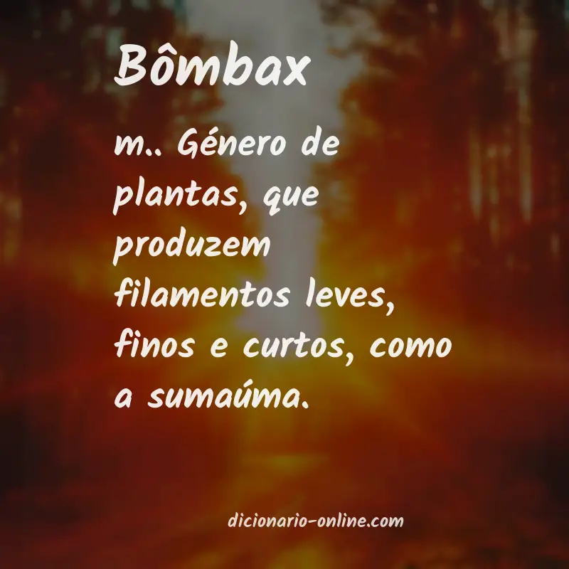 Significado de bômbax