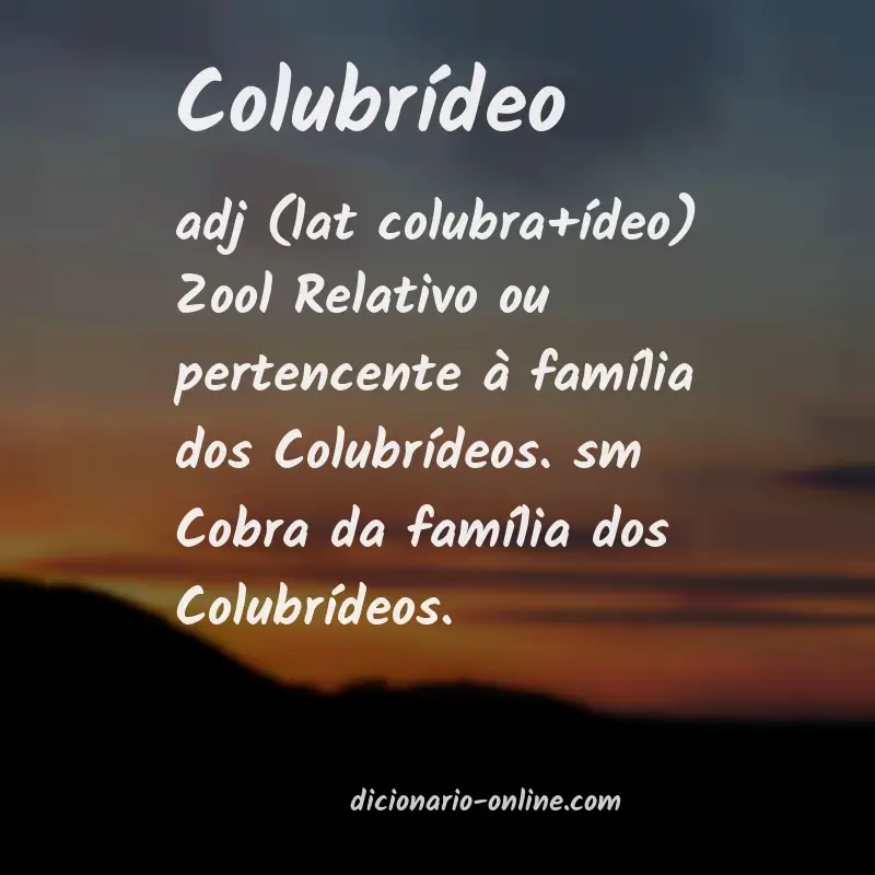 Significado de colubrídeo