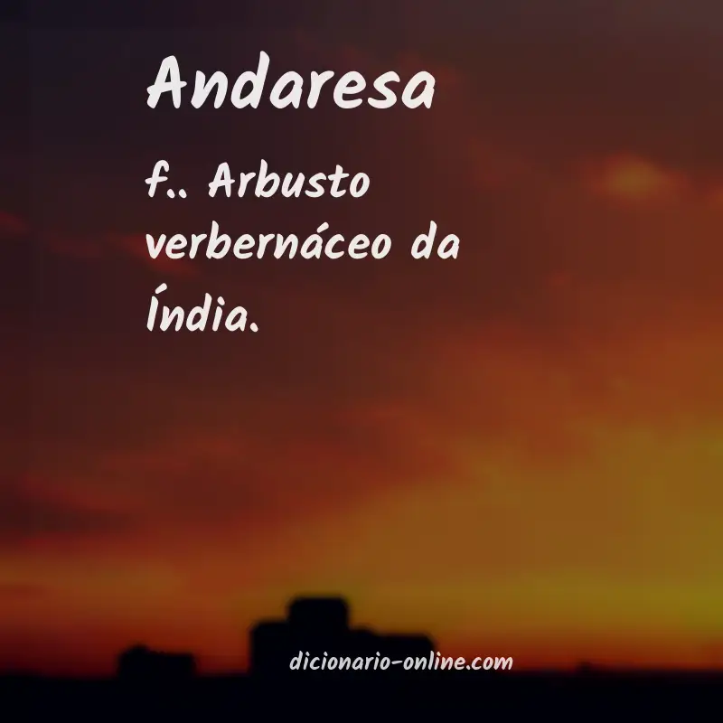 Significado de andaresa