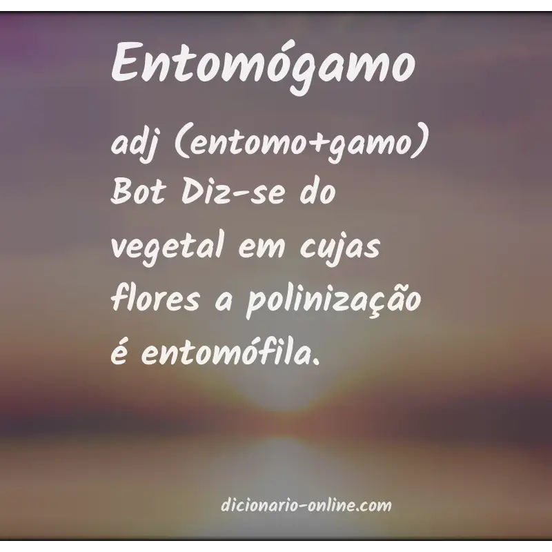 Significado de entomógamo
