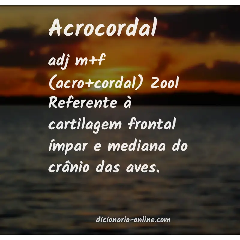 Significado de acrocordal