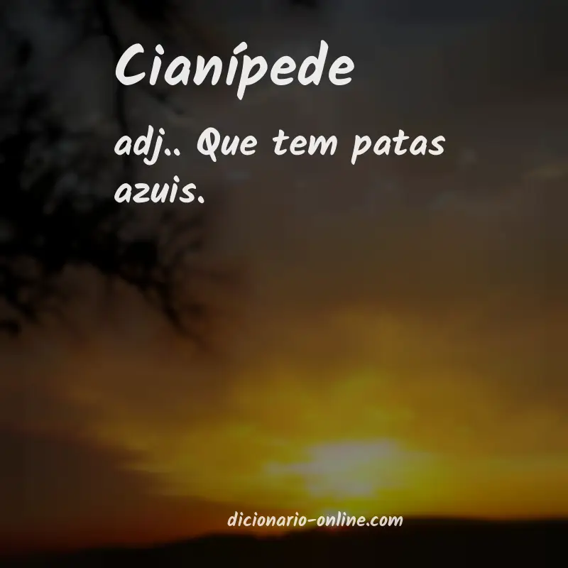 Significado de cianípede