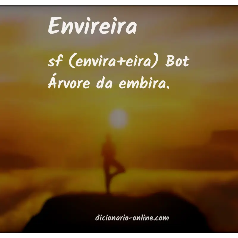 Significado de envireira