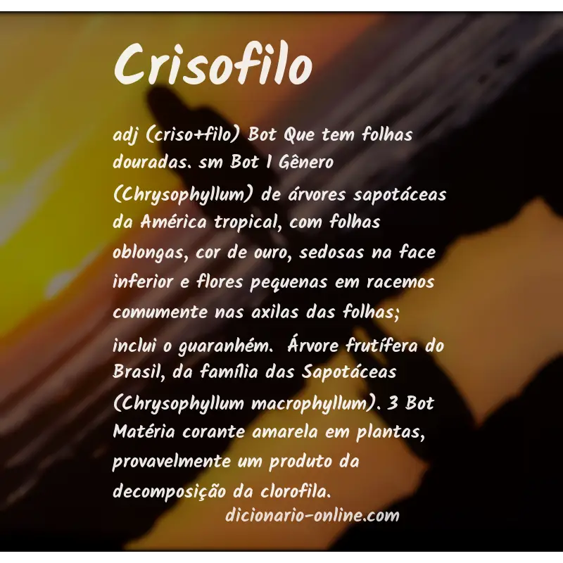 Significado de crisofilo