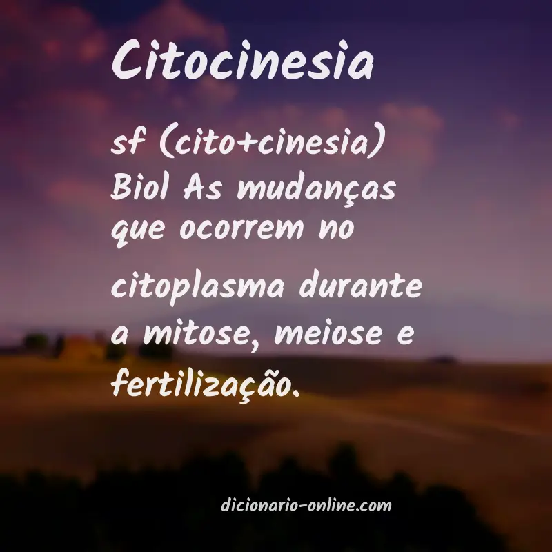 Significado de citocinesia