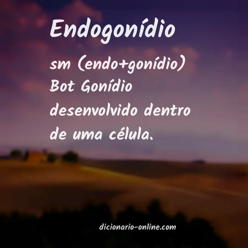 Significado de endogonídio